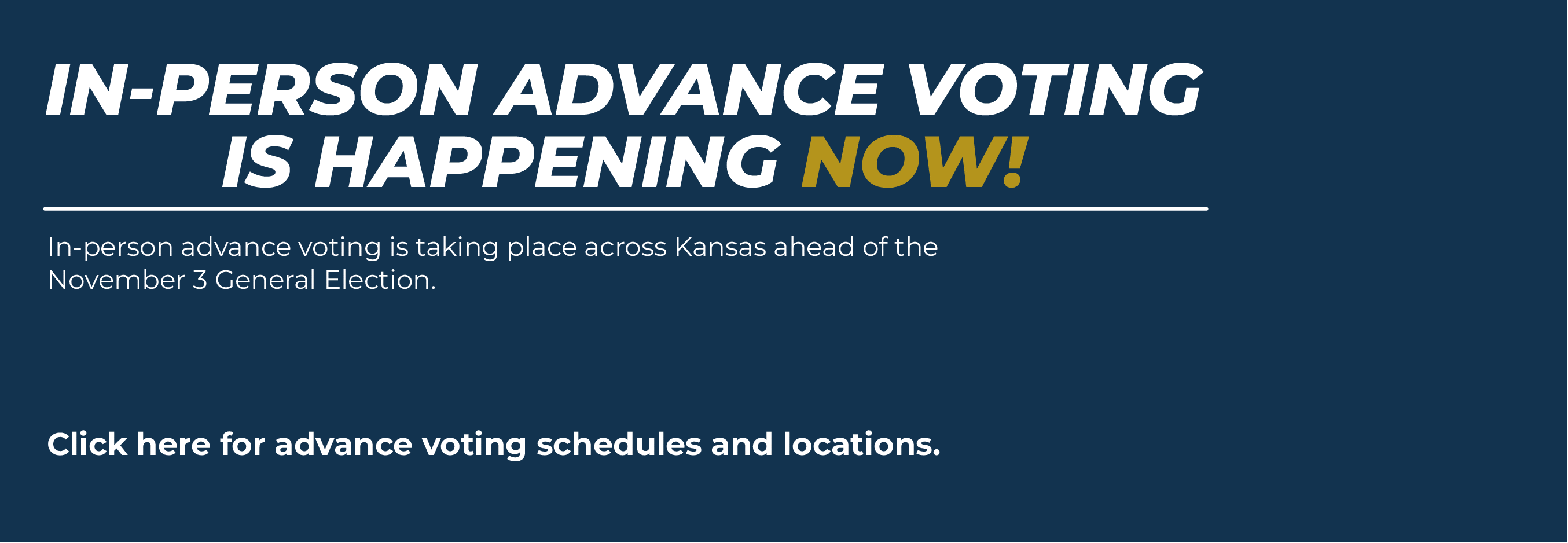 Advance Voting image